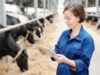 Jaki wpływ na wydajność produkcji rolnej ma precyzyjny pomiar mleka? pomiar mleka