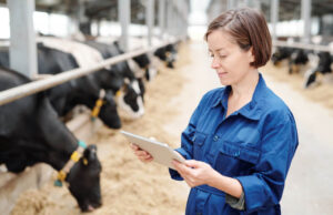 Jaki wpływ na wydajność produkcji rolnej ma precyzyjny pomiar mleka? pomiar mleka