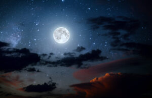 Dom z drewna księżycowego – o co właściwie chodzi? dom-z-drewna-ksiezycowego